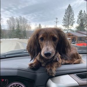 Meet your Posher, Tricia